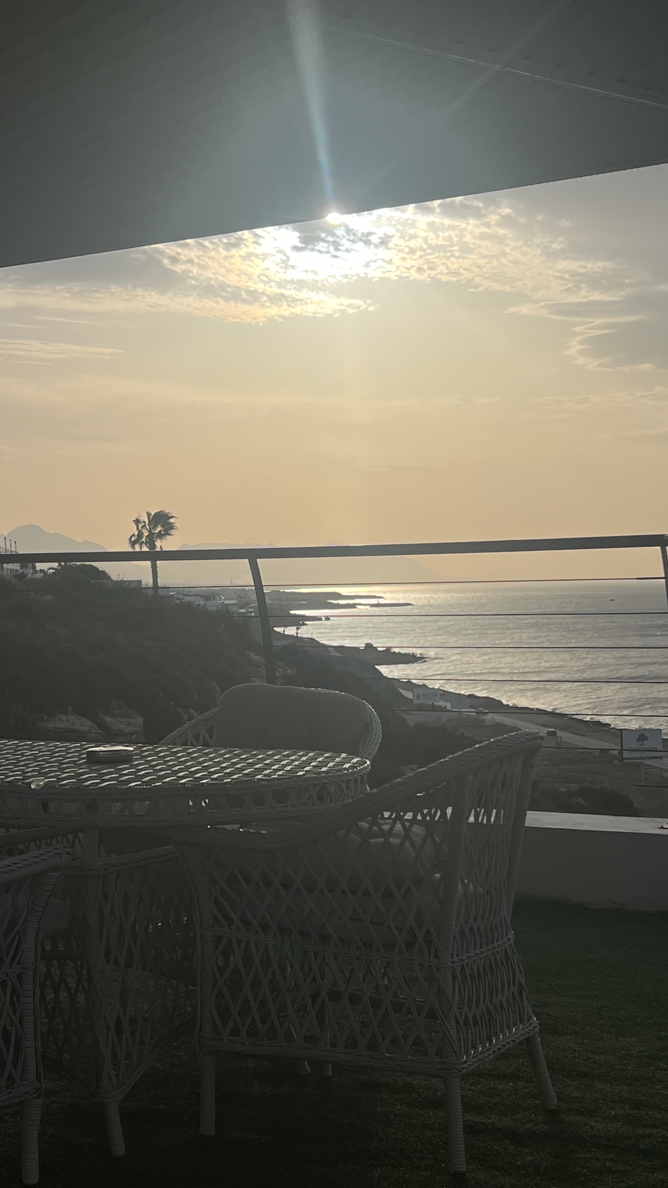 Local cafe photo inside the app preview